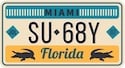 Florida License Plate Lookup Example