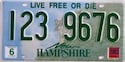 New Hampshire License Plate Lookup Example