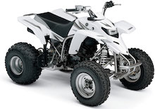 5Y4AG01W16A515635 Yamaha YFS 200S 2006 5Y4AG01W16A515635 Yamaha YFS 200S 2006